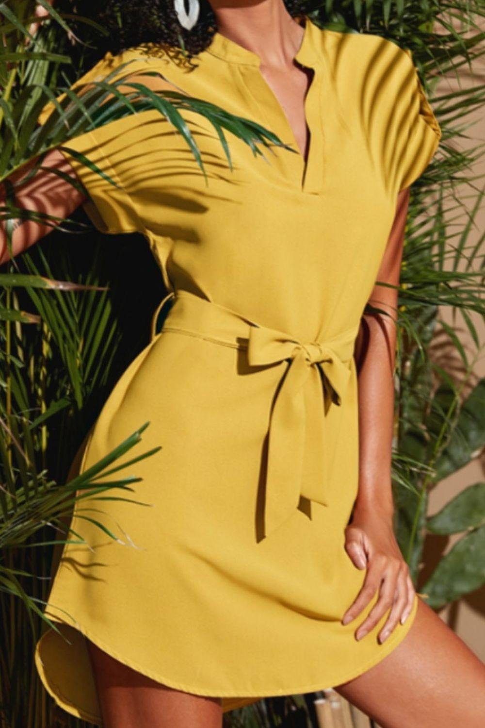 Tied Notched Short Sleeve Dress Carauana Store